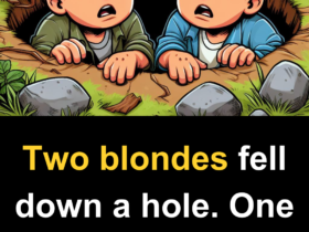 Two-blondes-fell-down-a-hole.-One-said-_Its-dark-in-here-isnt-it