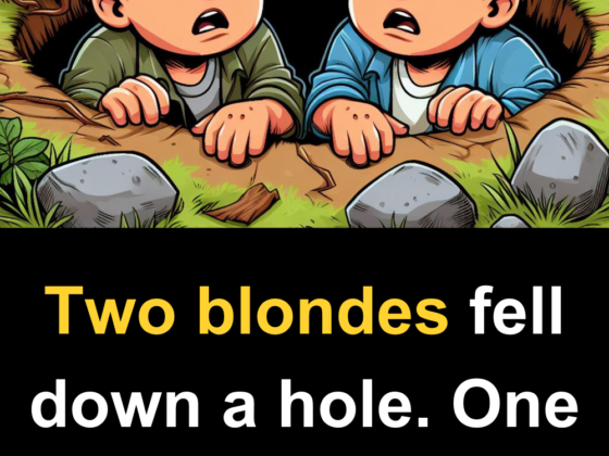 Two-blondes-fell-down-a-hole.-One-said-_Its-dark-in-here-isnt-it